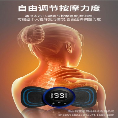 EMS Therapy Massager