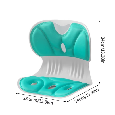 Back Support Cushion & Chair